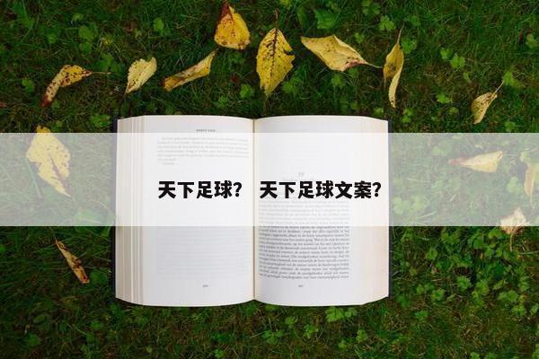 天下足球？ 天下足球文案？