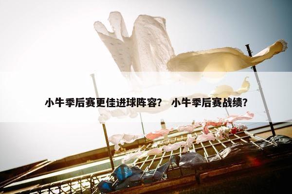 小牛季后赛更佳进球阵容？ 小牛季后赛战绩？