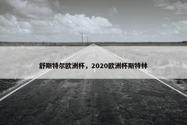 舒斯特尔欧洲杯，2020欧洲杯斯特林