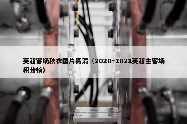 英超客场秋衣图片高清（2020~2021英超主客场积分榜）