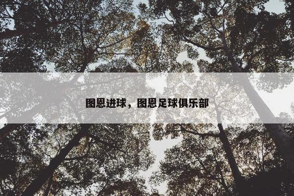 图恩进球，图恩足球俱乐部