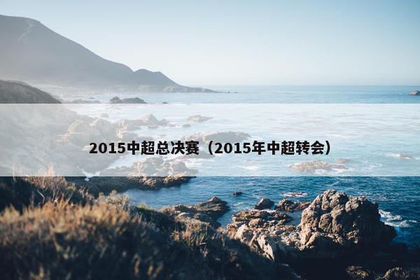 2015中超总决赛（2015年中超转会）