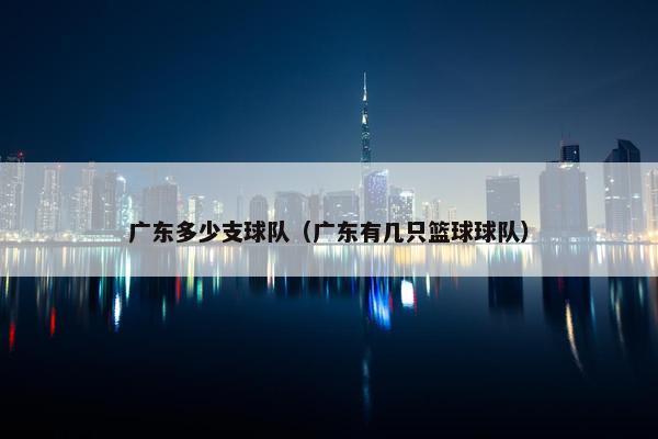 广东多少支球队（广东有几只篮球球队）