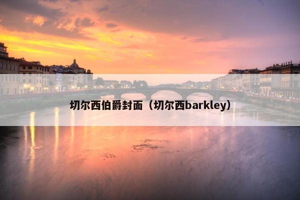 切尔西伯爵封面（切尔西barkley）