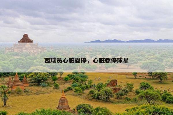 西球员心脏骤停，心脏骤停球星