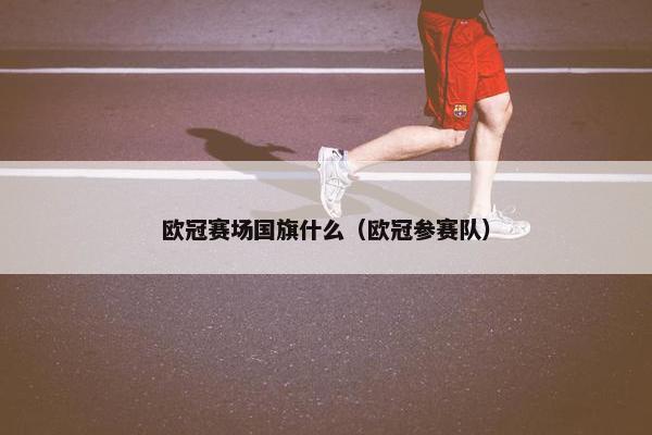 欧冠赛场国旗什么（欧冠参赛队）