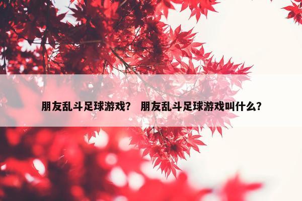 朋友乱斗足球游戏？ 朋友乱斗足球游戏叫什么？