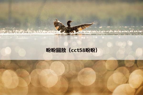 盼盼回放（cct58盼盼）