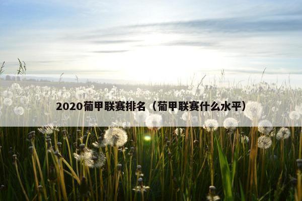 2020葡甲联赛排名（葡甲联赛什么水平）