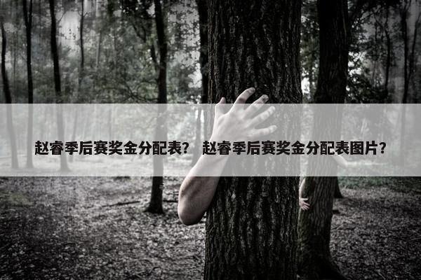赵睿季后赛奖金分配表？ 赵睿季后赛奖金分配表图片？