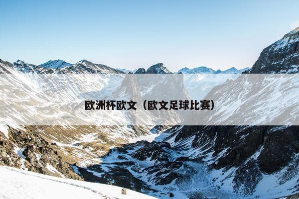 欧洲杯欧文（欧文足球比赛）