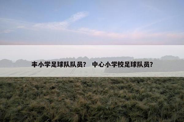 丰小学足球队队员？ 中心小学校足球队员？