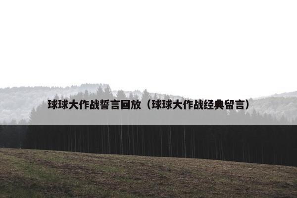 球球大作战誓言回放（球球大作战经典留言）