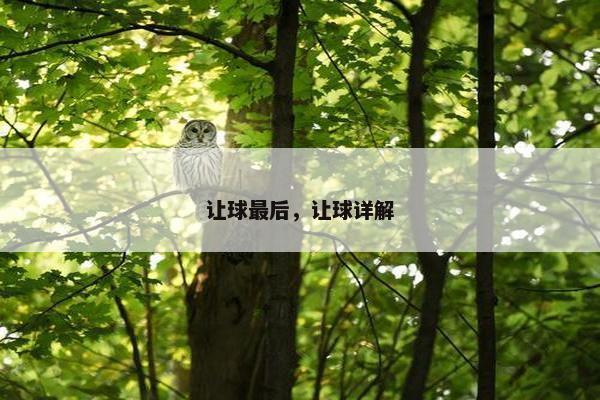 让球最后，让球详解