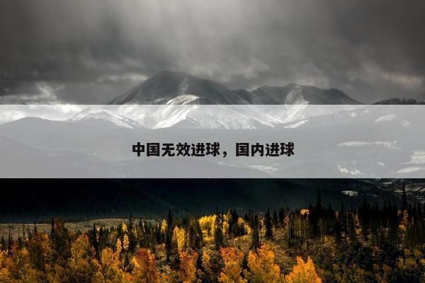 中国无效进球，国内进球