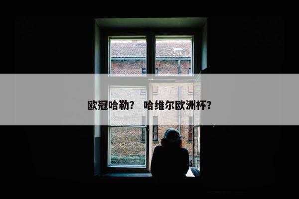 欧冠哈勒？ 哈维尔欧洲杯？