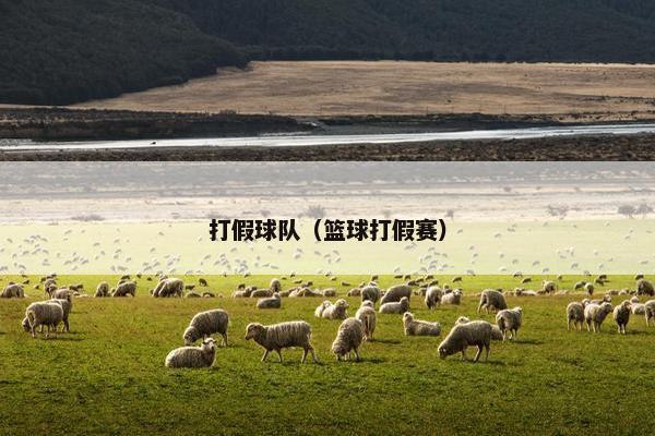 打假球队（篮球打假赛）