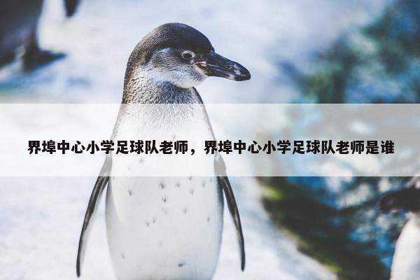 界埠中心小学足球队老师，界埠中心小学足球队老师是谁
