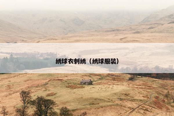 绣球衣刺绣(绣球服装) 绣球衣刺绣(绣球服装)