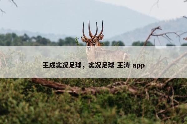 王成实况足球，实况足球 王涛 app
