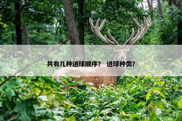 共有几种进球顺序？ 进球种类？