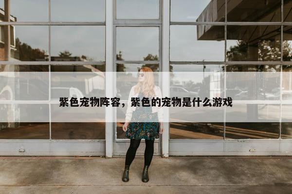 紫色宠物阵容，紫色的宠物是什么游戏