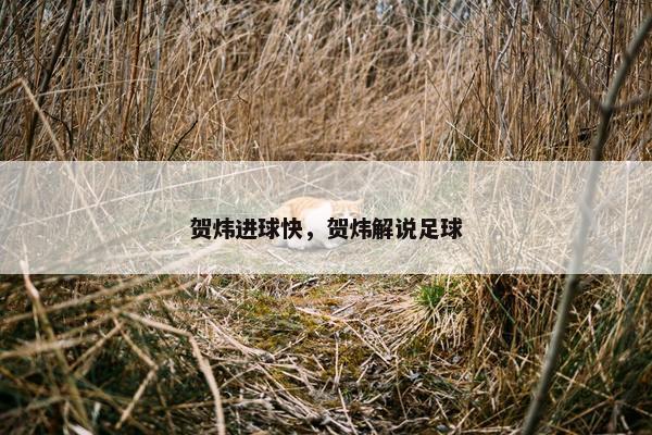 贺炜进球快，贺炜解说足球