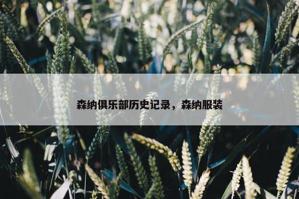 森纳俱乐部历史记录，森纳服装