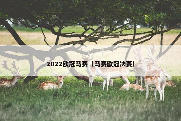 2022欧冠马赛(马赛欧冠决赛) 2022欧冠马赛(马赛欧冠决赛)