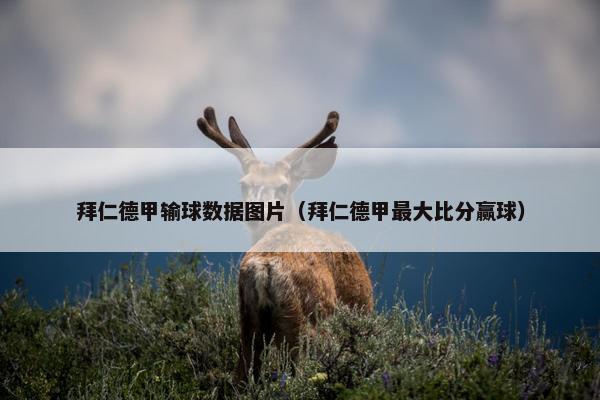 拜仁德甲输球数据图片（拜仁德甲最大比分赢球）