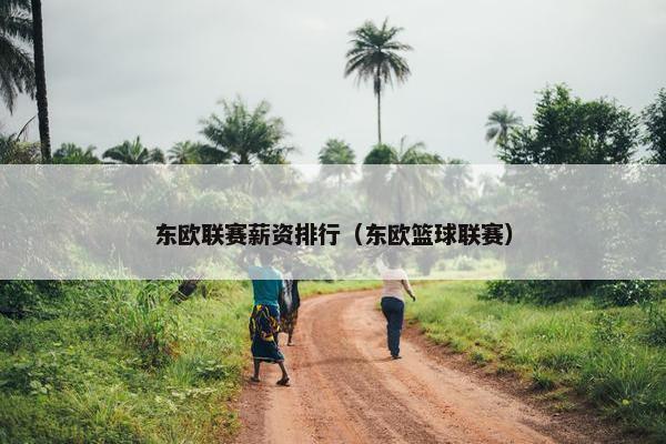 东欧联赛薪资排行（东欧篮球联赛）