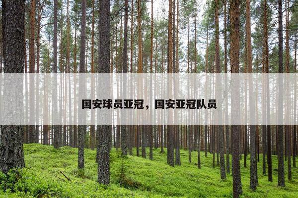 国安球员亚冠，国安亚冠队员