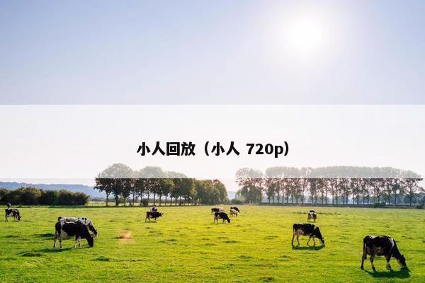 小人回放（小人 720p）