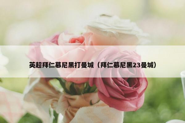英超拜仁慕尼黑打曼城（拜仁慕尼黑23曼城）