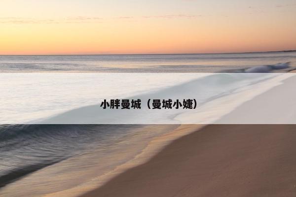 小胖曼城（曼城小婕）