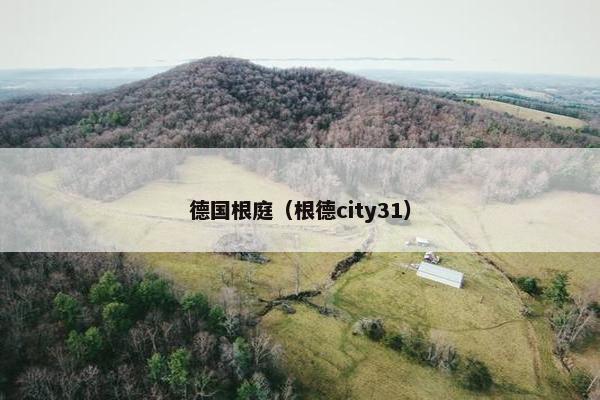 德国根庭（根德city31）