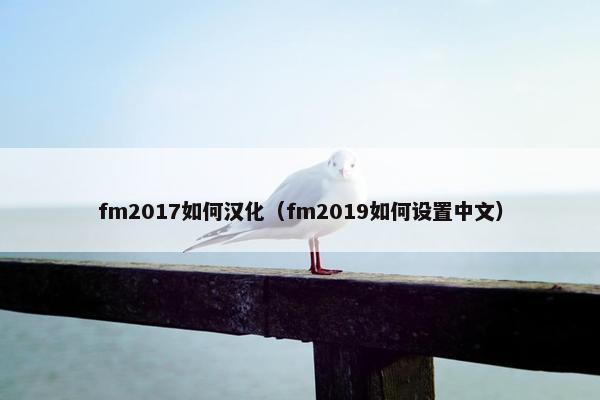 fm2017如何汉化（fm2019如何设置中文）