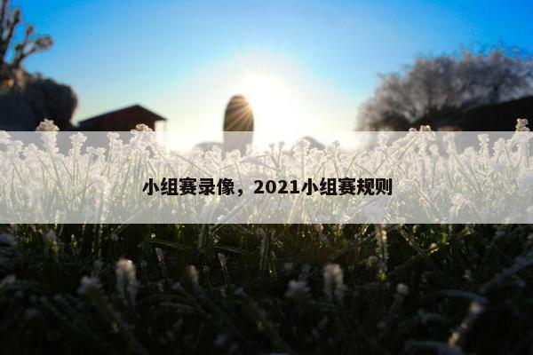 小组赛录像，2021小组赛规则