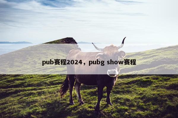 pub赛程2024，pubg show赛程
