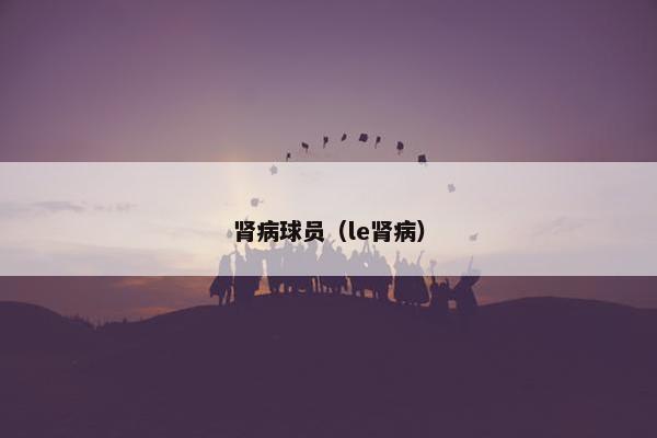 肾病球员（le肾病）