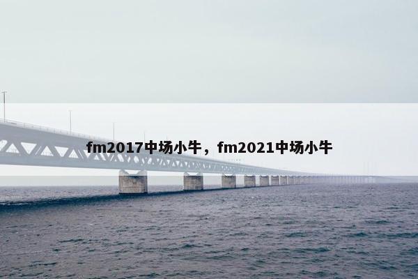fm2017中场小牛，fm2021中场小牛