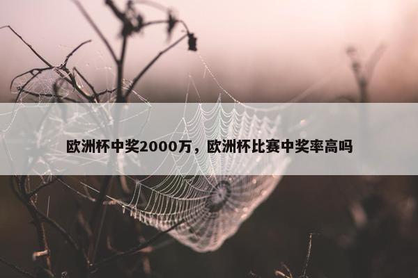 欧洲杯中奖2000万,欧洲杯比赛中奖率高吗 欧洲杯中奖2000万,欧洲杯比赛中奖率高吗