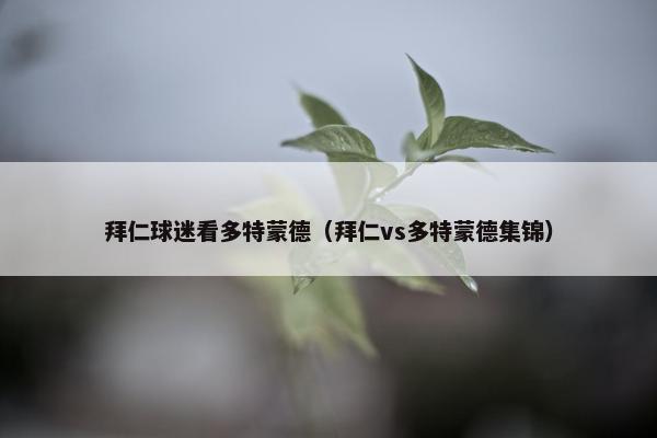 拜仁球迷看多特蒙德（拜仁vs多特蒙德集锦）