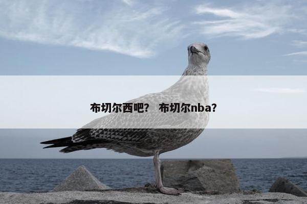 布切尔西吧？ 布切尔nba？