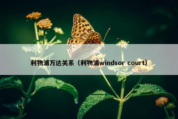 利物浦万达关系（利物浦windsor court）