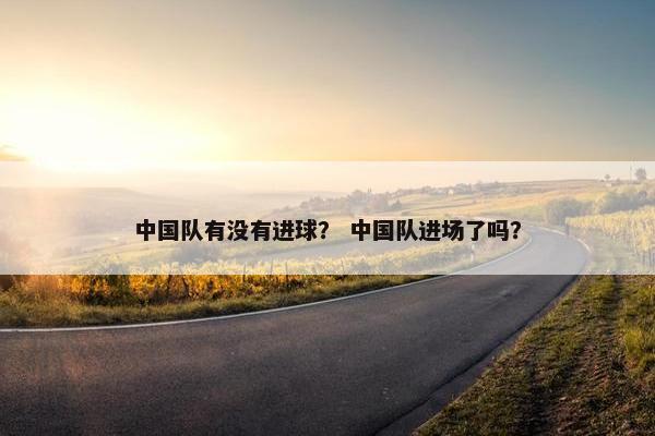 中国队有没有进球？ 中国队进场了吗？
