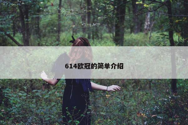 614欧冠的简单介绍
