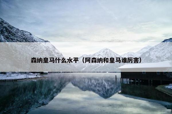 森纳皇马什么水平（阿森纳和皇马谁厉害）