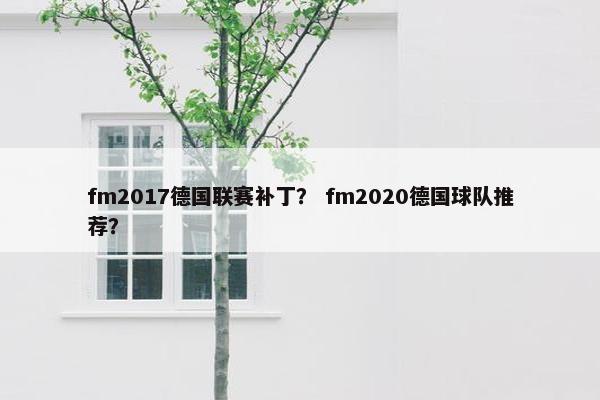 fm2017德国联赛补丁？ fm2020德国球队推荐？