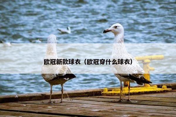 欧冠新款球衣(欧冠穿什么球衣) 欧冠新款球衣(欧冠穿什么球衣)